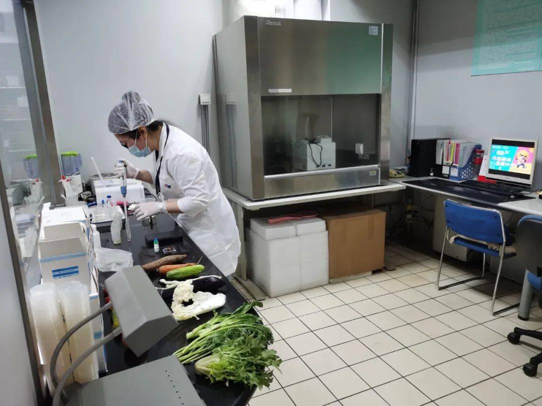 松滋食品检测实验室装修方案